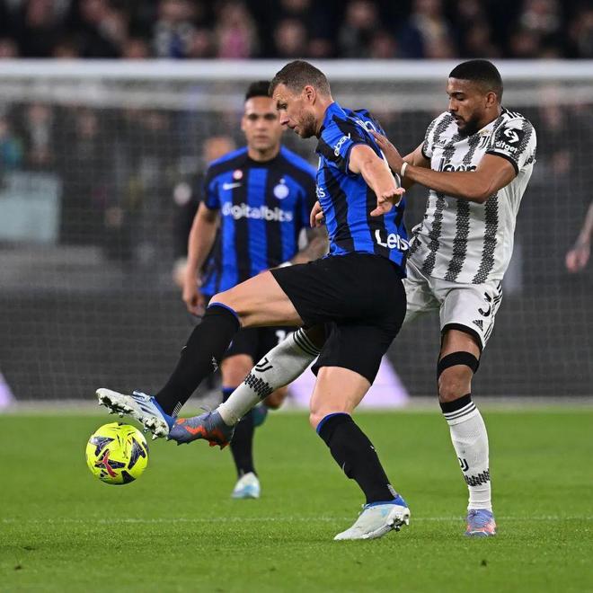 协同补强的 协同补强的