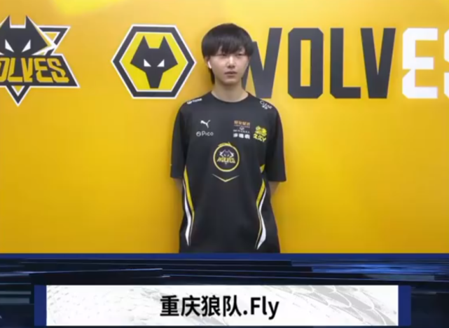 FPX前期